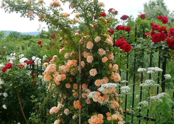 Harmony Hills Apartment Rogachevo